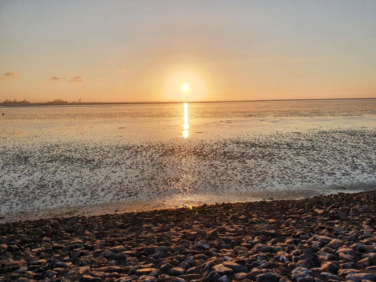 Moewennest Tossens Buitenkant foto