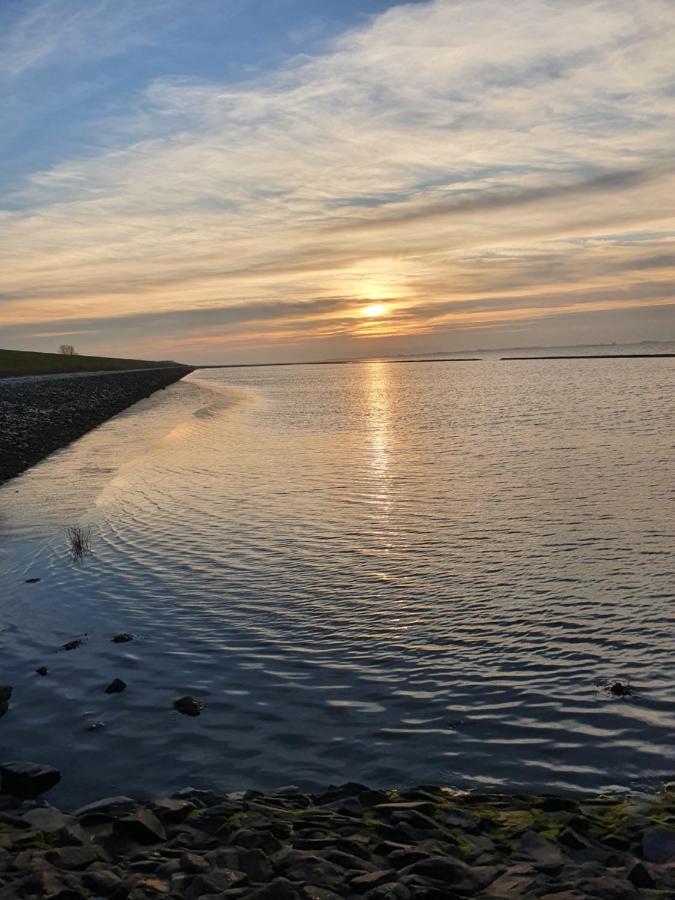 Moewennest Tossens Buitenkant foto