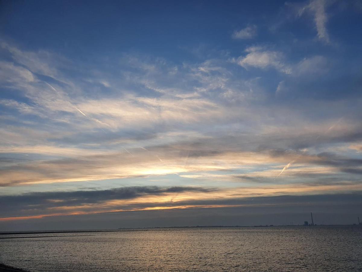 Moewennest Tossens Buitenkant foto