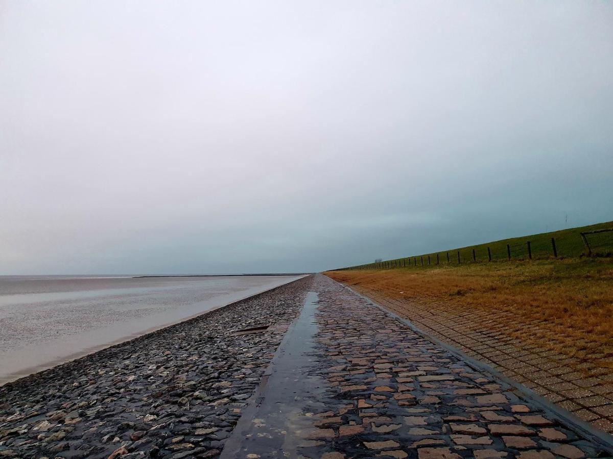 Moewennest Tossens Buitenkant foto